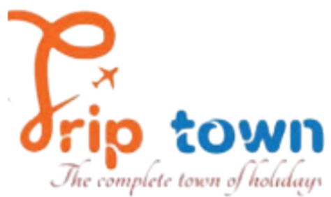 Triptown partner logo